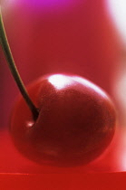 Cherry, Prunus.