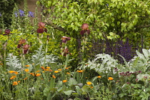 Chelsea Flower Show 2013, Homebase garden, 'Sowing the Seeds of Change' Designer Adam Frost. Gold medal.