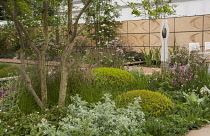 Chelsea Flower Show 2013, Brewin Dolphin garden, Designer Robert Myers. Gold medal