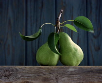 Pear, Pyrus communis.