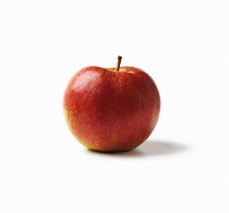 Apple, Malus domestica.