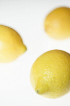 Lemon, Citrus limon.