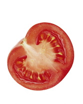 Tomato, Lycopersicon esculentum.