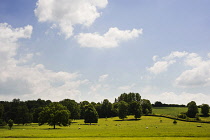 Meadow, view across typical English country landscape.