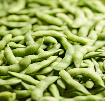 Soybean, Glycine max, A mass of pods of Edaname beanscommonly eaten in the green stage.