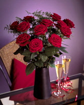 Rose, Rosa 'Grand Prix', Classic dozen deep red roses arranged in a vase with 2 glasses of champagne.