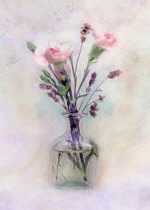 Rose, Rosa, Vase pf pink flowers as a colourful artistic representation.