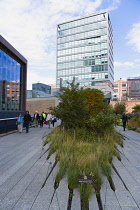 USA, New York, Manhattan, people walking on the High Line linear park on an elevated disused railroad spur called the West Side Line. USA, New York State, New York City.